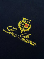 2026 New GS Logo Embroidered Polo Shirt (BB736-A40)