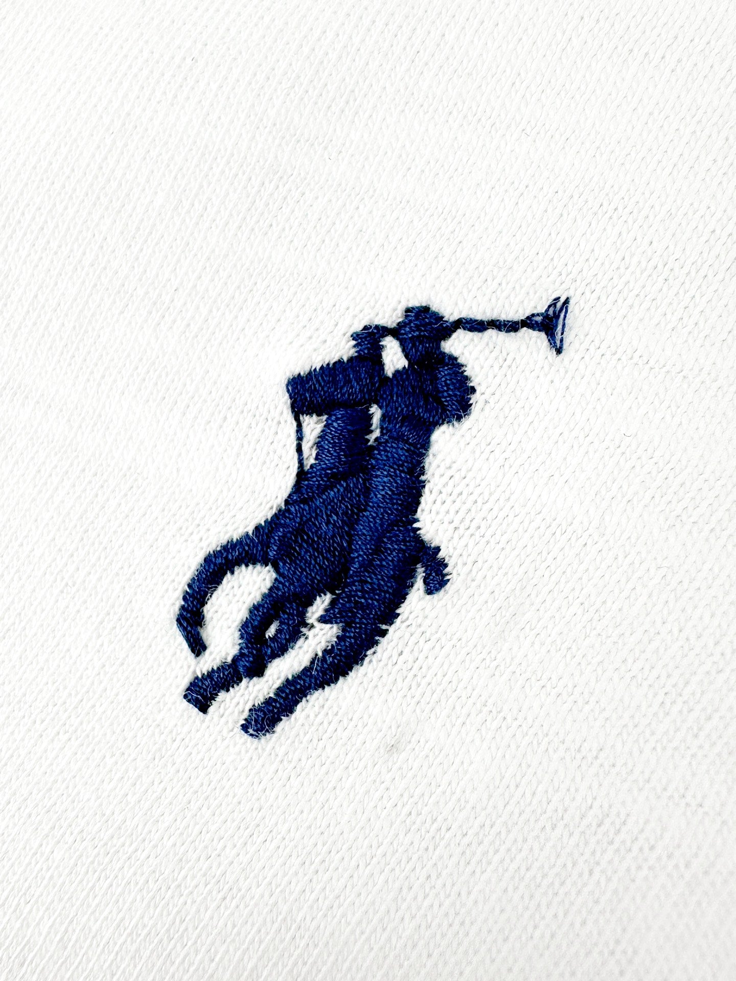 2026 New GS Embroidered Henley-neck Long-sleeved Top (CC977-A35)