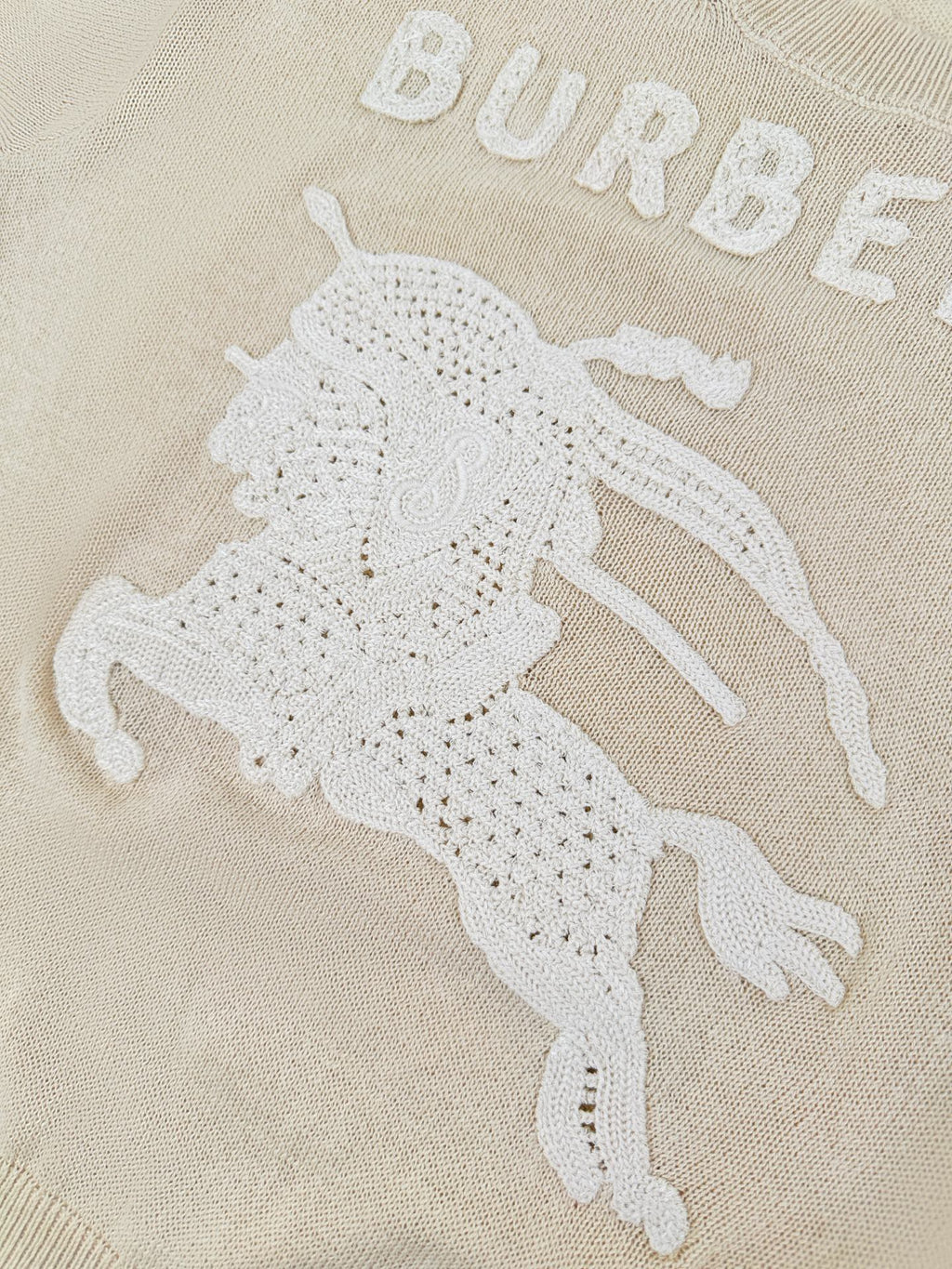 2026 Women's GS Logo Sweater (DD143)