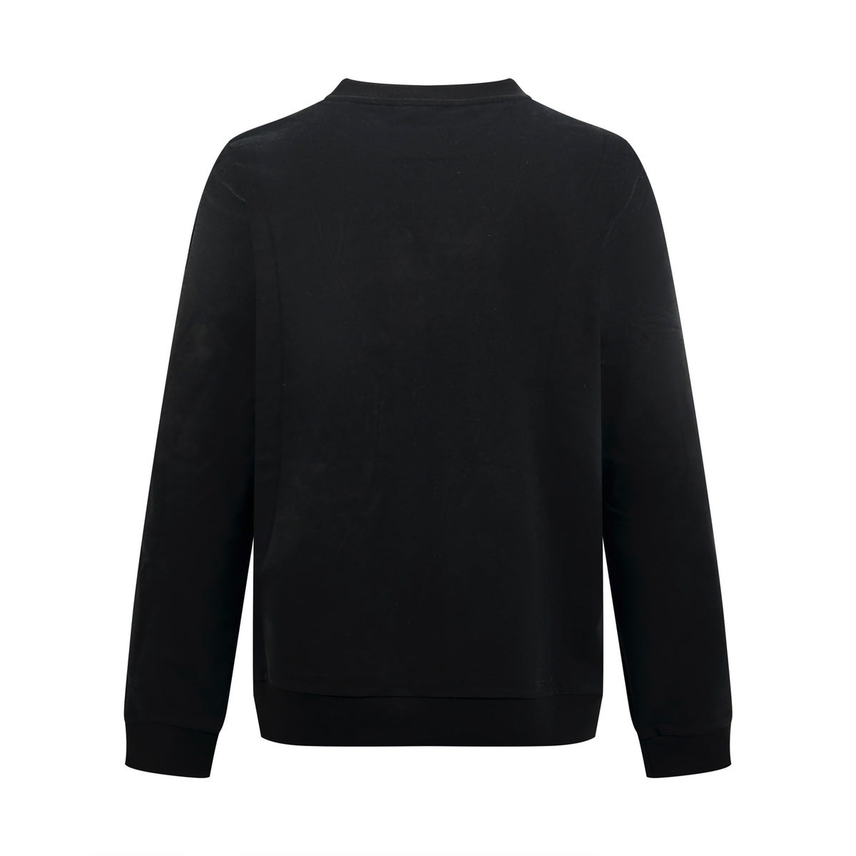 2026 New Model GS Embroidered Logo Sweatshirt (BB4025-A85)